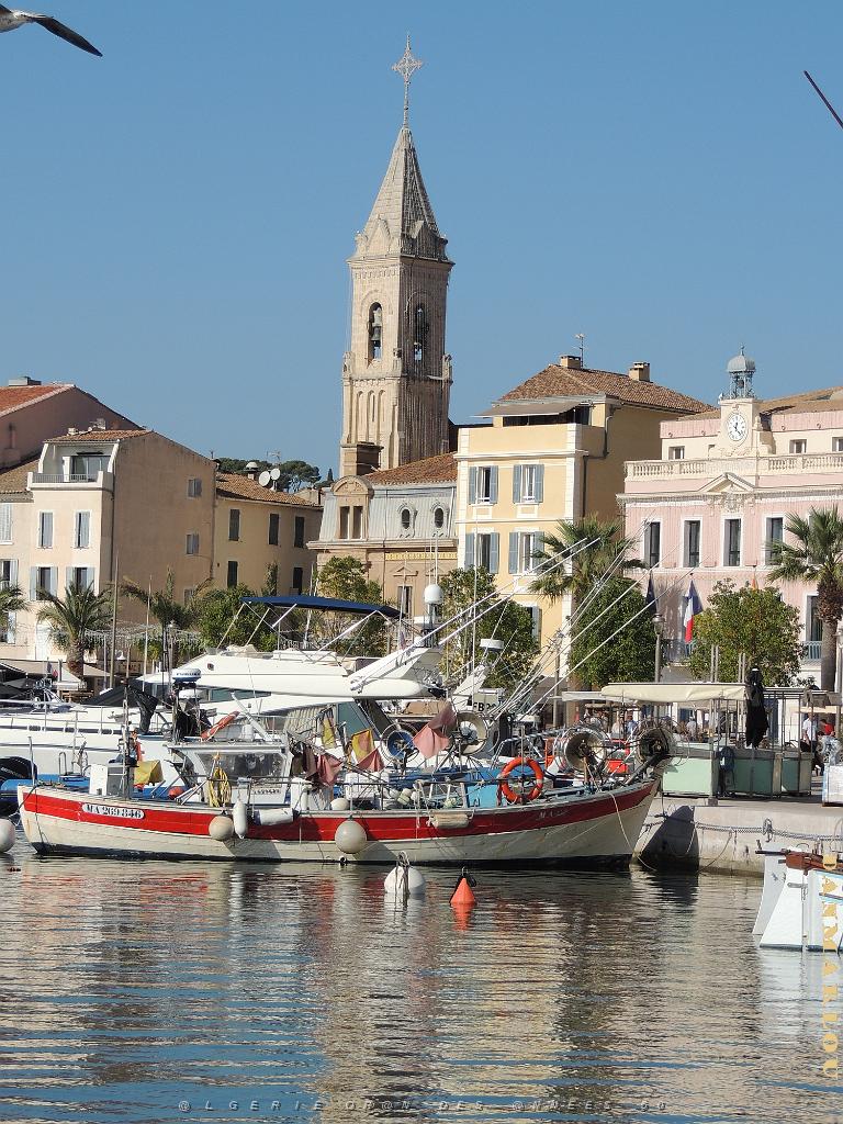 2024 11 02 EN FLANANT SUR SANARY (47).jpg